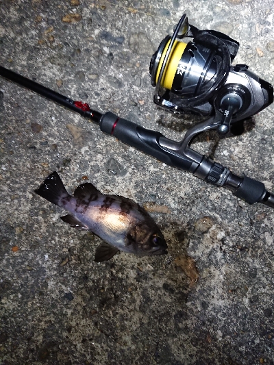 短時間メバリング