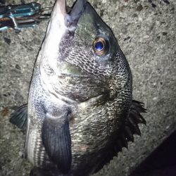 サイズがイマイチ…