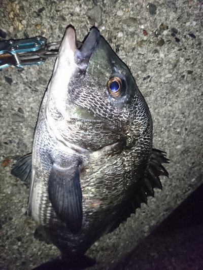 サイズがイマイチ…