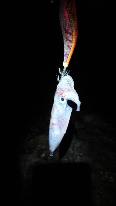 レッドモンスター？