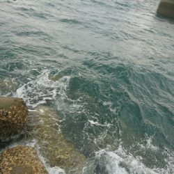 ひっさしぶりの釣り