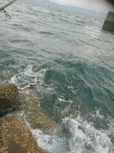 ひっさしぶりの釣り