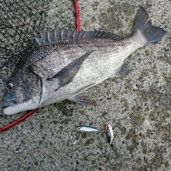 真っ昼間のルアーフィッシング