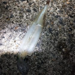 天気良かったので適当に