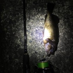 深夜メバリング