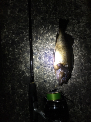 深夜メバリング