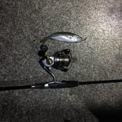 ロックフィッシュからのアジ