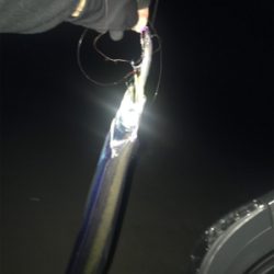 激渋でもおったら釣れます