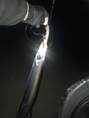 激渋でもおったら釣れます