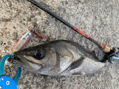 フィッシングショーには釣ってから行くねん♫…