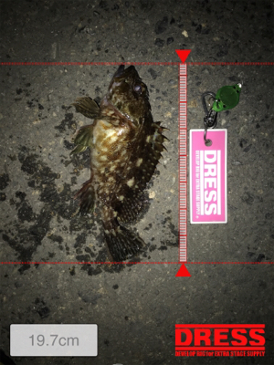 イソメでガシラ