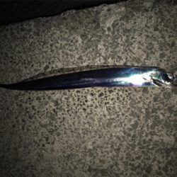 タチウオからの痛恨のバラシ