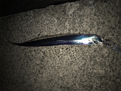 タチウオからの痛恨のバラシ