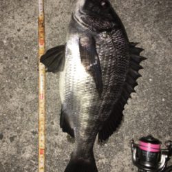 激渋メバリング(ーー;)