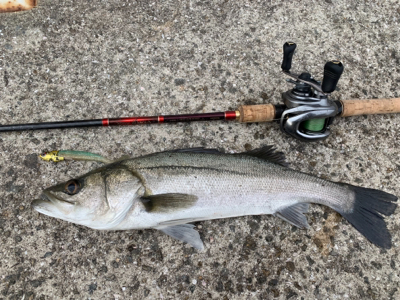 やっぱりVJｷﾃﾀ━━(ﾟ∀ﾟ)━━!!!…