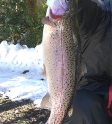 朽木渓流魚センター