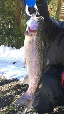 朽木渓流魚センター