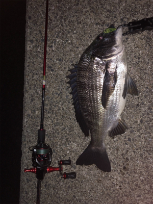 メバルプラッキング