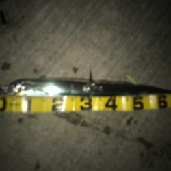 水軒でもおったら釣れます