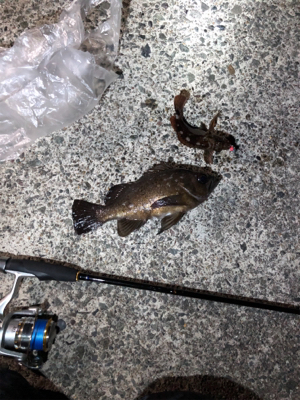 早朝ロックゲーム