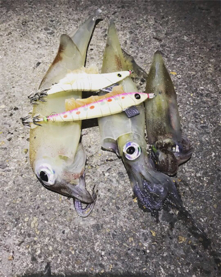 初邪道エギング！