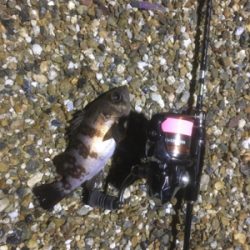 2夜連続メバリング