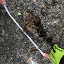 御所浦ライトゲームリベンジ