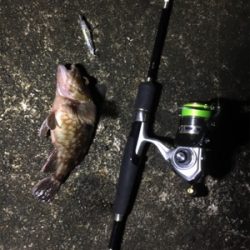 新プラブ入魂ライトゲーム