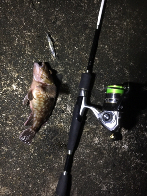 新プラブ入魂ライトゲーム