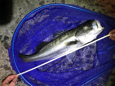 御所浦ライトゲームリベンジ②