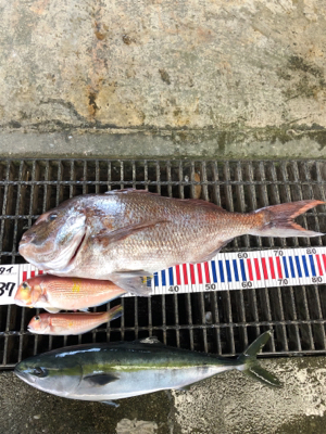 大鯛ゲット‼︎