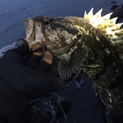 タケノコ1本‼️