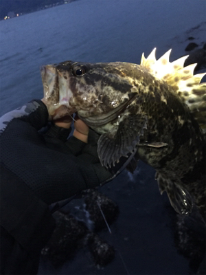 タケノコ1本‼️