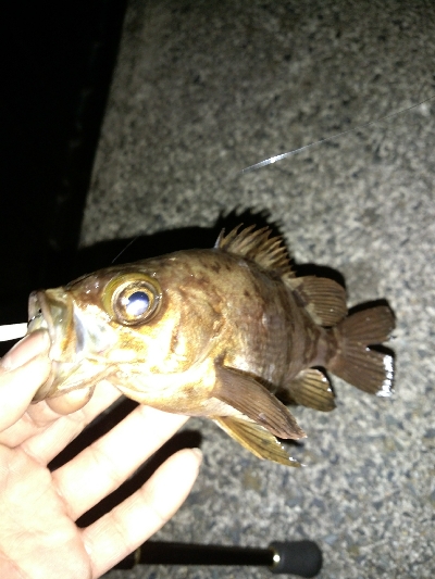 メバリングランガン