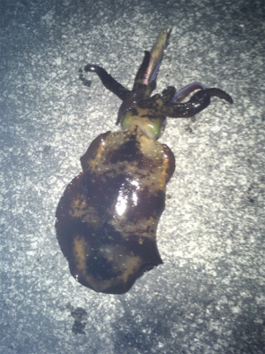 寒かったです！