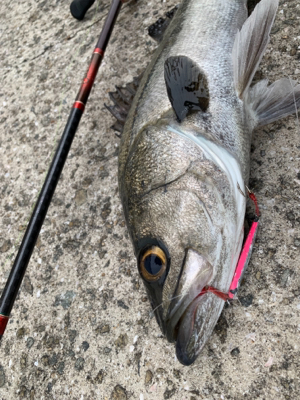 めちゃ元気！！