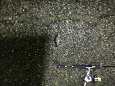 大荒れライトゲーム