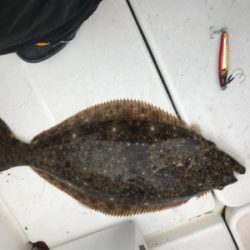 鳥羽沖ジギング