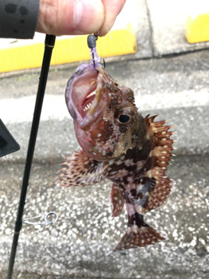 牛深ライトゲーム②