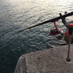 風がヤバイけど。