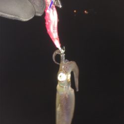 まだ居てる〜( ^ω^ )♪♪