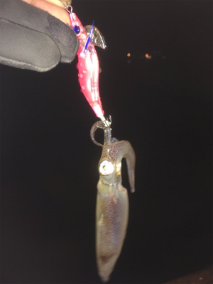 まだ居てる〜( ^ω^ )♪♪