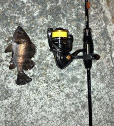 6時間耐久メバリング