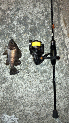 6時間耐久メバリング