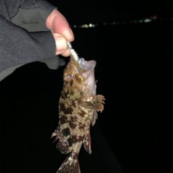 バレンタイン釣行