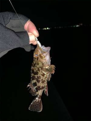 バレンタイン釣行