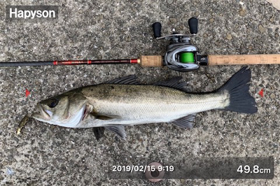 お久シーバス❤️…