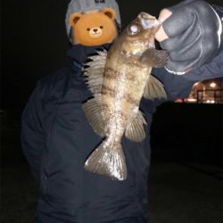 寒空の下メバリング