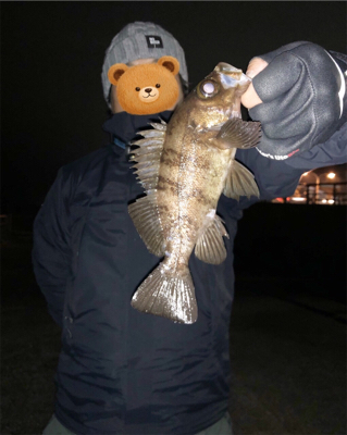 寒空の下メバリング