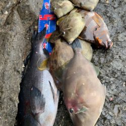 御五神島 沖磯フカセ